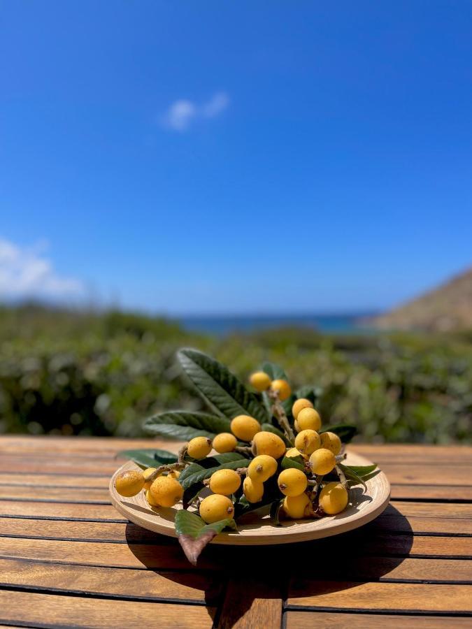 Seaside Studios Arkasa Karpathos Εξωτερικό φωτογραφία