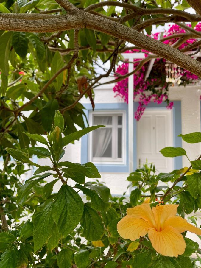 Seaside Studios Arkasa Karpathos Εξωτερικό φωτογραφία