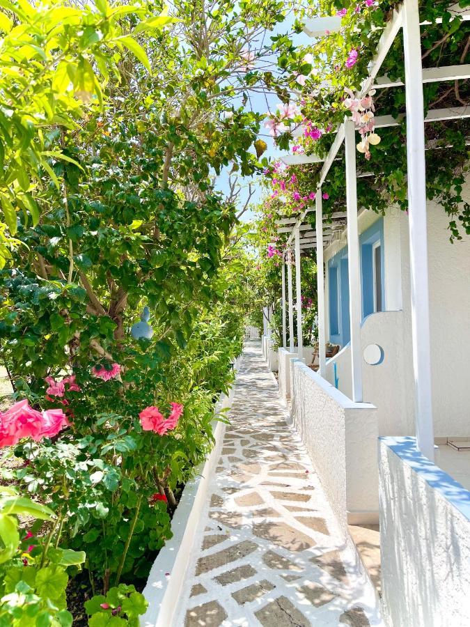 Seaside Studios Arkasa Karpathos Εξωτερικό φωτογραφία